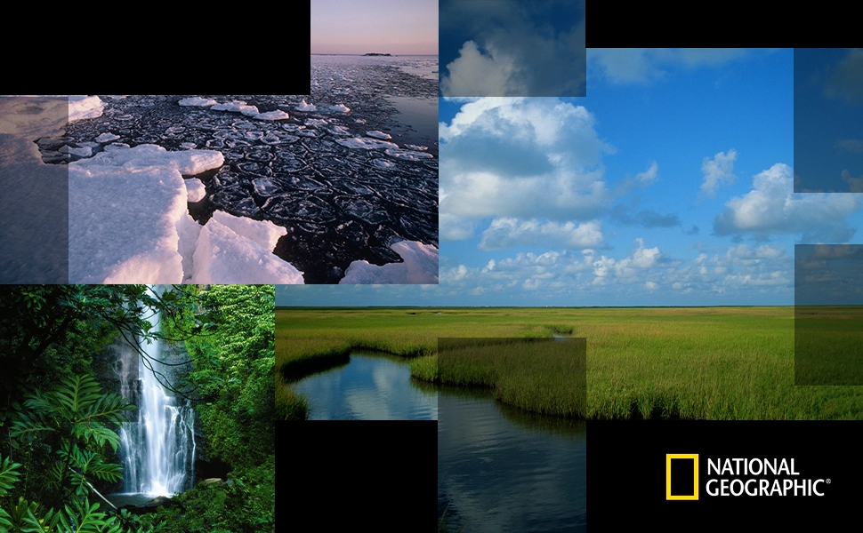 Kit Trépied Vidéo de Voyage avec Monopode : NGTRV005T - National Geographic