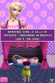 Barbie Et Le Salon De Beauté Des Chiens - DS