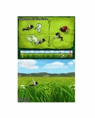 Clochette Et L'Expédition Féérique - DS