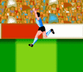 Goal - NES