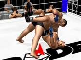Pride Fighting Championships - PlayStation 2