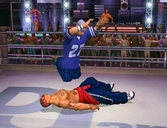 Def Jam Vendetta - PlayStation 2