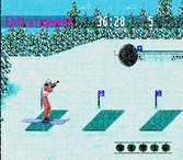 Winter Olympics