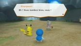 Poképark 2 : Le Monde Des Voeux - Wii