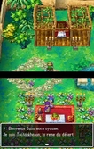 Dragon Quest V La Fiancée Céleste - DS