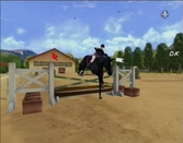 Horse Life : Amis pour la Vie - WII