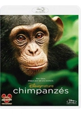 Chimpanzes