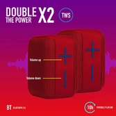 NGS Roller Coaster Rouge