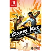 Cobra kai the karate kid saga continues - Switch