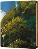 Voyage vers agartha - edition steelbook combo blu-ray + cd