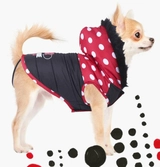 Minnie - veste chien - xxs (long. 22cm - tour de taille 34-42cm)