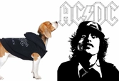 Ac/dc - hoodie chien - xs (long. 28cm - tour de taille 42-50cm)