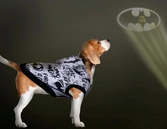 Batman - hoodie chien - m (long. 36cm - tour de taille 58-66cm)