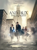Les animaux fantastiques - Blu-ray