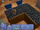 The sims pet stories