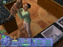 The sims pet stories