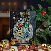 Harry potter- calendrier de l'avent 2020- christmas in the wizarding world