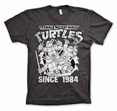 Tmnt - t-shirt distressed since 1984 - d.grey (m)