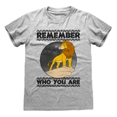 Lion king classic - remember who you are small