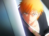 Bleach Saison 1 Box 1 - DVD