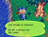 Animal Crossing + 1 Carte Mémoire Game Cube 59