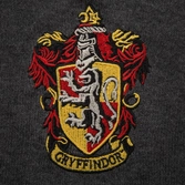 Harry potter sweater gryffindor  (m)