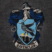 Harry potter sweater ravenclaw  (s)