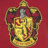 Harry potter bannière gryffindor 30 x 44 cm