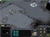 StarCraft Gold : StarCraft + extension Brood War - PC