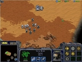 StarCraft Gold : StarCraft + extension Brood War - PC
