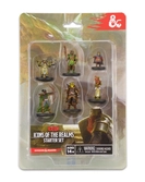 D&d icons of the realms pack 6 miniatures starter set
