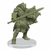 Dungeons & Dragons : Trials of Tempus Standard Edition