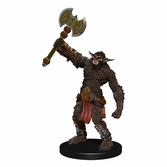 Dungeons & dragons jeu de plateau waterdeep dungeon of the mad mage premium edition anglais