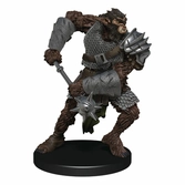 Dungeons & dragons jeu de plateau waterdeep dungeon of the mad mage premium edition anglais