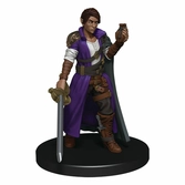 Dungeons & dragons jeu de plateau waterdeep dungeon of the mad mage premium edition anglais