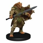 Dungeons & dragons jeu de plateau waterdeep dungeon of the mad mage premium edition anglais