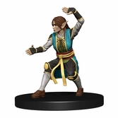 Dungeons & dragons jeu de plateau waterdeep dungeon of the mad mage premium edition anglais