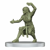 Dungeons & dragons jeu de plateau waterdeep dungeon of the mad mage premium edition anglais