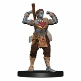 Dungeons & dragons jeu de plateau waterdeep dungeon of the mad mage premium edition anglais
