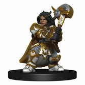 Dungeons & dragons jeu de plateau waterdeep dungeon of the mad mage premium edition anglais