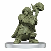 Dungeons & dragons jeu de plateau waterdeep dungeon of the mad mage premium edition anglais