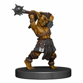 Dungeons & dragons jeu de plateau waterdeep dungeon of the mad mage premium edition anglais