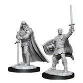 D&d nolzur's marvelous miniatures assortiment packs miniatures à peindre human paladin male (6)