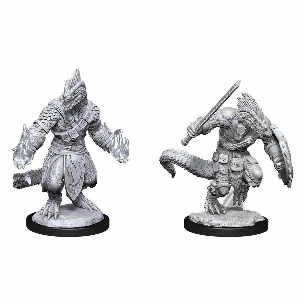Figurines Miniatures à Peindre Dungeons & Dragons - Nolzur's Marvelous - Elfe(s) - WizKids