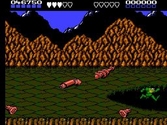 Battletoads - NES