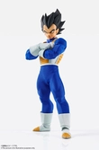 Figurine Dragon Ball Z : Imagination Works - Vegeta