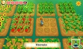 Story of Seasons - 3DS