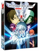 Bungo stray dogs / dead apple combo
