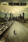 Poster The Walking Dead - City - 61cm x 91.5cm