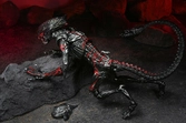 Aliens figurine night cougar alien (kenner tribute) 23 cm